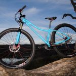 Blue Wolfhound Hard Tail 29er Blue Wolfhound Hard Tail 29er