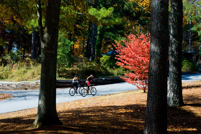 Mountain Biking Tips Riding Endurance Biker Bike 