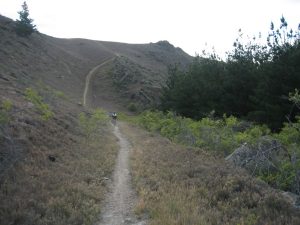 Mountain Biking Trail Bike