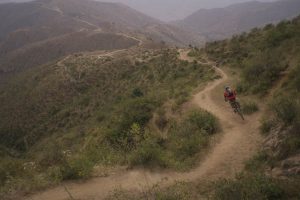 Mountain Biking Tours 