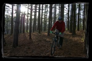 Mountain Bike Trail Review - Sugar Bottom