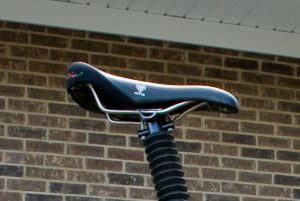 WTB Mountain Bike Saddle