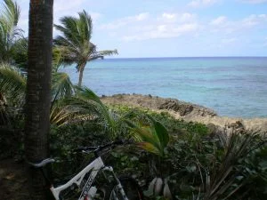 Cerro Gordo Mountain Bike Trail Review