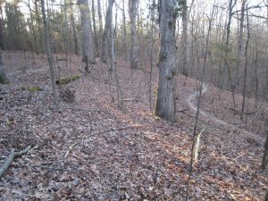 Whirlpool Mountain Bike Trail System