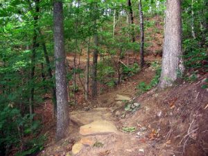 Blankets Creek Mountain Biking Trail