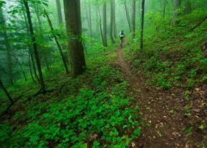 Pinhoti North Georgia Mountain Biking Ellijay