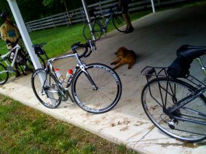 Sag Stop Blue Competition Cycles Nx7 Century Road Ride