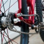 Wolfhound Rigid SS 29er Wolfhound Rigid SS 29er