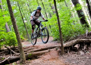 Taking a Small Drop On A Mountain Bike