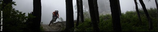 Whistler Mountain Biking