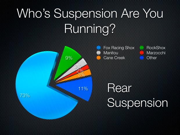 Rear Mountain Bike Suspension Results