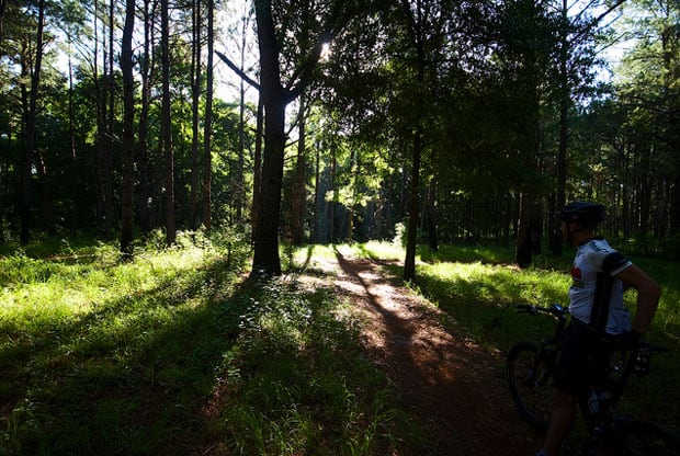 The Mountain Biking Trail