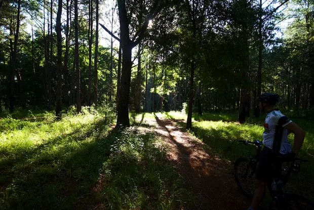 The Mountain Biking Trail The Mountain Biking Trail