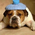 Exercise Headache