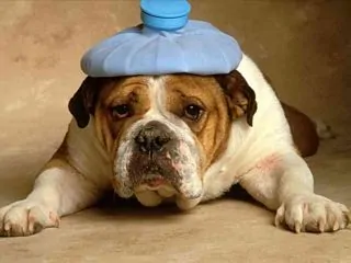 Exercise Headache