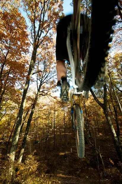 Freeride Mountain Biking