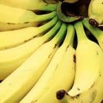 Energy Boosting Foods for Mountain Bikers
