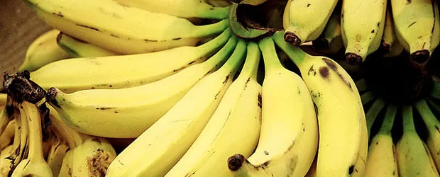 Energy Boosting Foods for Mountain Bikers Energy Boosting Foods for Mountain Bikers