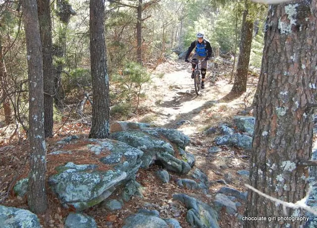 Snake Creek Gap Mountain Biking