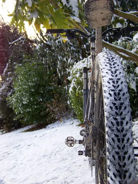 Snow Winter Mountain Biking