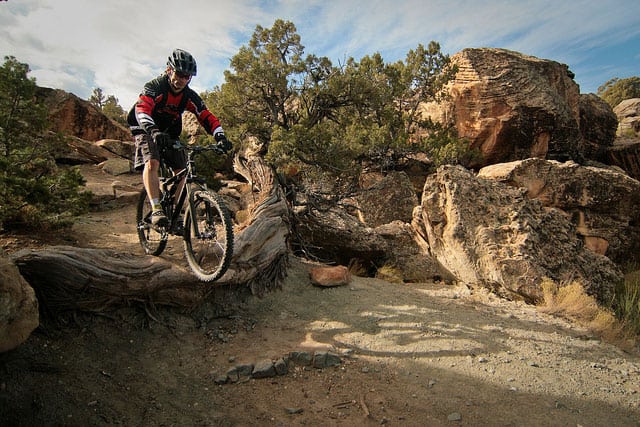 Mountain Biking in the Desert