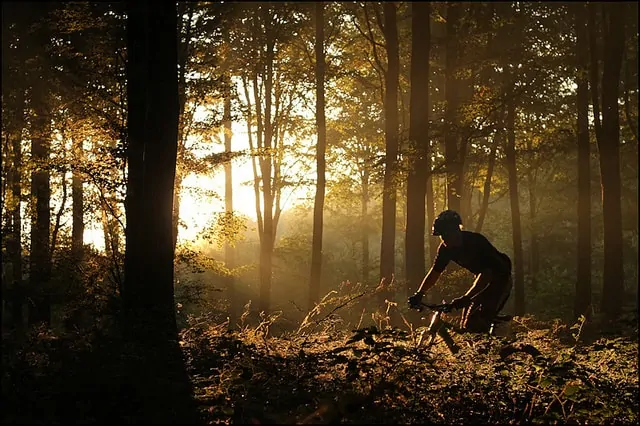 Fall Mountain Biking Fall Mountain Biking