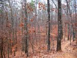 blankets mountain bike trail
